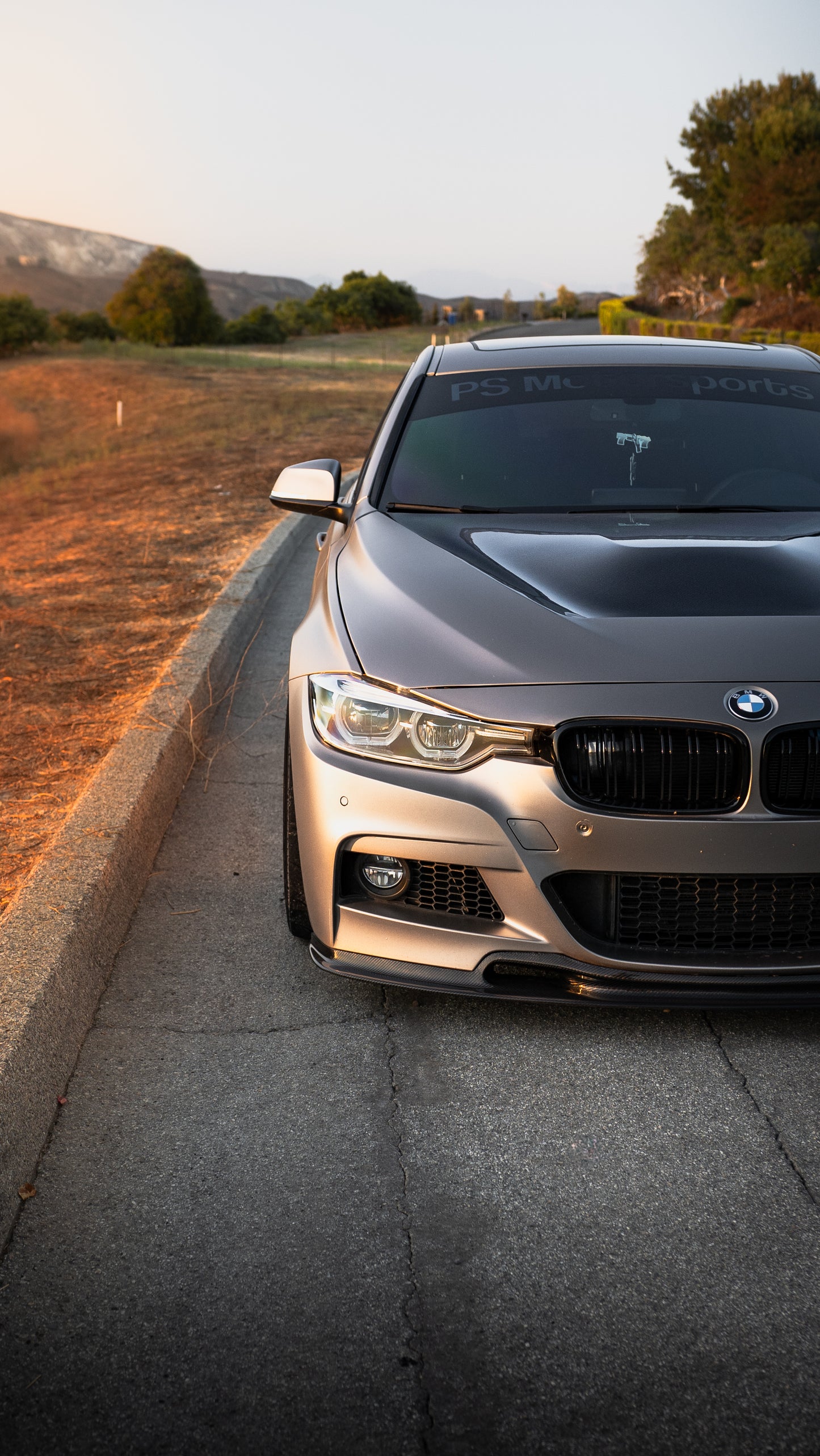 Varis Style Carbon Front Lip - F30 3 Series